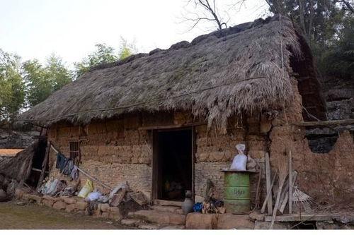 开局一间破草屋，我靠养娃系统致富,养娃系统助力致富传奇