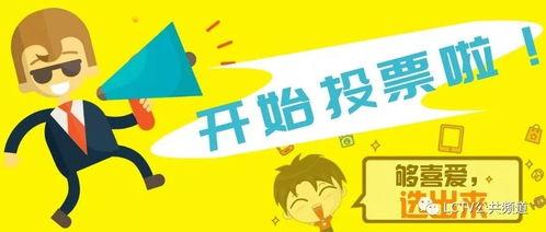 让我们投票,共筑美好未来——投票行动全面启动