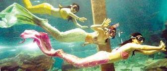 美人鱼村,探寻美人鱼村的神秘传说与美丽风光