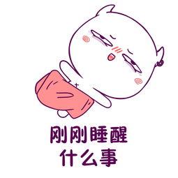 我和朋友的假期,难忘的旅程回忆